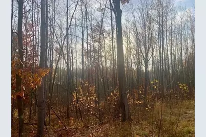 Tbd New Paradise Point Drive - Lot 8, Lake George Township, MN 56458 - Photo 14