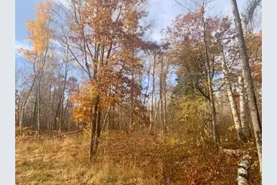 Tbd New Paradise Point Drive - Lot 8, Lake George Township, MN 56458 - Photo 16