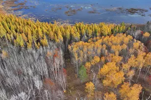 Tbd New Paradise Point Dr - Lot 8, Lake George Township, MN 56458 - Photo 1