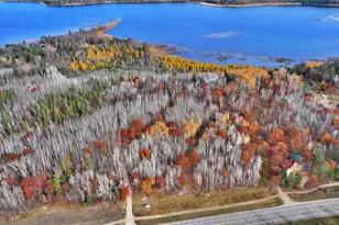 Tbd County 4 - Lot 9, Lake George Township, MN 56458 - Photo 1