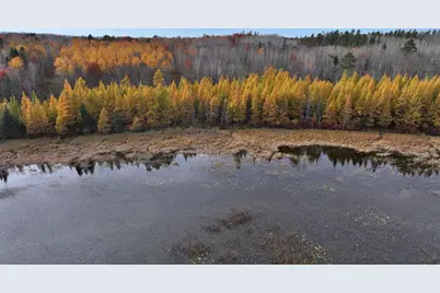 Tbd County 4 - Lot 10, Lake George Township, MN 56458 - Photo 8