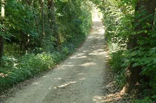 22780 CSAH 14, Darwin, MN 55324 - Photo 52