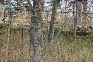 Xxxx Riverview Rd, Eden Prairie, MN 55347 - Photo 8