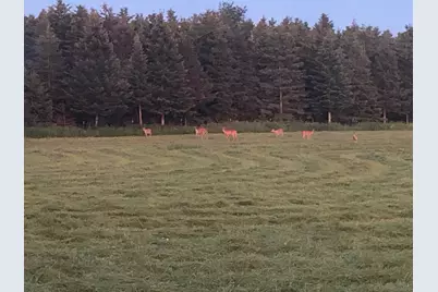 1350 County Road D Lot 4, Emerald, WI 54013 - Photo 16