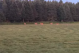 1350 Co Rd D Lot 4, Emerald, WI 54013 - Photo 16