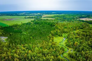 Lot 2 N Blackduck Lake Road NE, Hines, MN 56647 - Photo 1