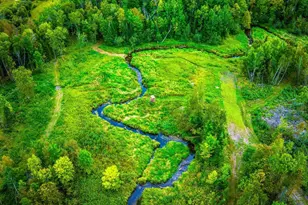 Lot 3 N Blackduck Lake Road NE, Hines, MN 56647 - Photo 1