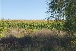 1137 178th St /Dalton Farm Road Lot 17, Hammond, WI 54015 - Photo 1