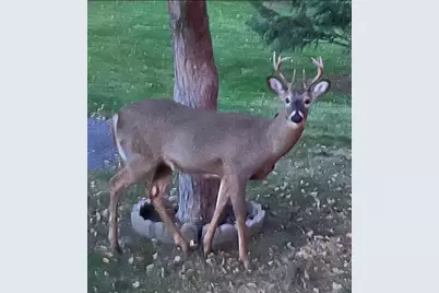 178 Wedgewood Drive, Mahtomedi, MN 55115 - Photo 44