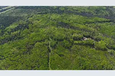 1961 Town Road 118, Birchdale, MN 56629 - Photo 40