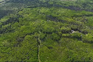 1961 Town Road 118, Birchdale, MN 56629 - Photo 40