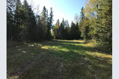 1961 Town Road 118, Birchdale, MN 56629 - Photo 28