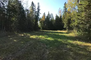 1961 Town Road 118, Birchdale, MN 56629 - Photo 28