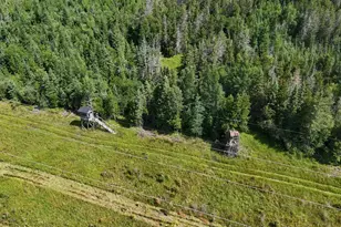 1961 Town Road 118, Birchdale, MN 56629 - Photo 30