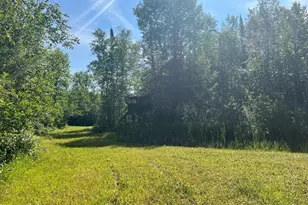 1961 Town Road 118, Birchdale, MN 56629 - Photo 24