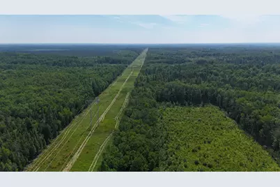 1961 Town Road 118, Birchdale, MN 56629 - Photo 32