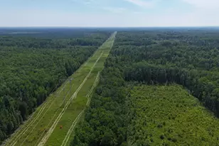 1961 Town Road 118, Birchdale, MN 56629 - Photo 32