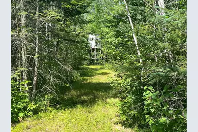 1961 Town Road 118, Birchdale, MN 56629 - Photo 20