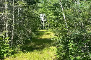 1961 Town Road 118, Birchdale, MN 56629 - Photo 20