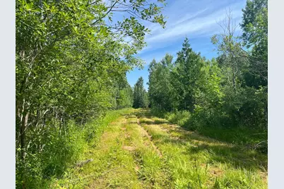 1961 Town Road 118, Birchdale, MN 56629 - Photo 2