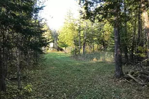 1961 Town Road 118, Birchdale, MN 56629 - Photo 26