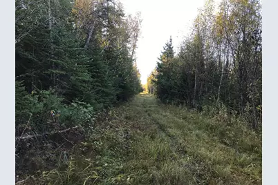 1961 Town Road 118, Birchdale, MN 56629 - Photo 36