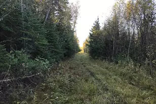 1961 Town Road 118, Birchdale, MN 56629 - Photo 36