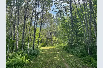 1961 Town Road 118, Birchdale, MN 56629 - Photo 4