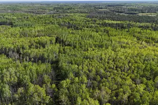 1961 Town Road 118, Birchdale, MN 56629 - Photo 46