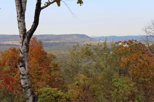 Lot 5 706th St, Wabasha, MN 55981 - Photo 1