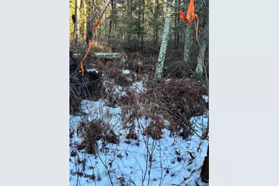 Xxxx NW County 47, Longville, MN 56655 - Photo 6