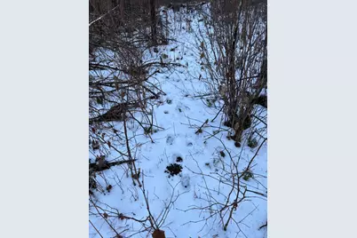 Xxxx NW County 47, Longville, MN 56655 - Photo 10