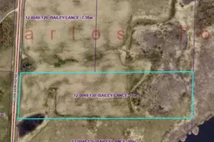 Lot 3 Buckskin Road NE, Carlos, MN 56319 - Photo 1