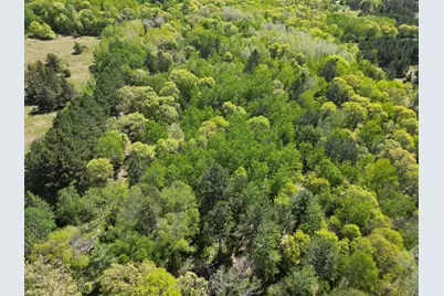 Tbd County 2, Nevis, MN 56467 - Photo 6