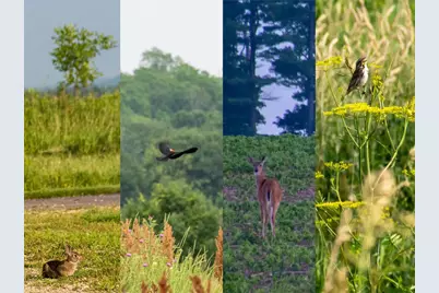 Tbd 3 708th St, Lake City, MN 55041 - Photo 8