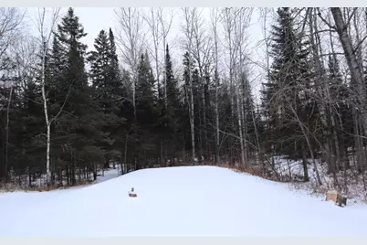 15939 County Road 536, Nashwauk, MN 55769 - Photo 10