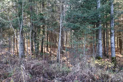 15939 County Road 536, Nashwauk, MN 55769 - Photo 40