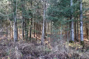 15939 Co Rd 536, Nashwauk, MN 55769 - Photo 40