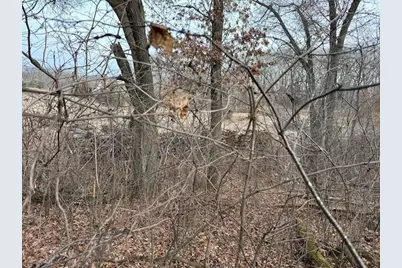 Xxxx 273rd Ave NW, Livonia Township, MN 55330 - Photo 4