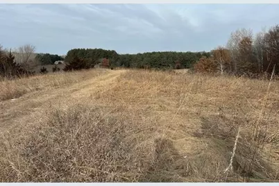 Xxxx 273rd Ave NW, Livonia Township, MN 55330 - Photo 6