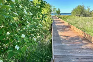 Tbd Xxxx Norwood Ln, Battle Lake, MN 56515 - Photo 38