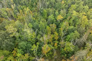 10657 Black Bear Rd, Brainerd, MN 56401 - Photo 44