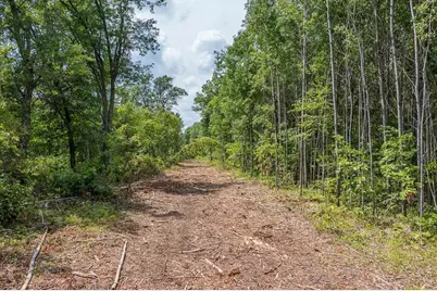Tract B Polaris, Merrifield, MN 56465 - Photo 22