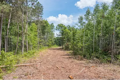 Tract B Polaris, Merrifield, MN 56465 - Photo 2