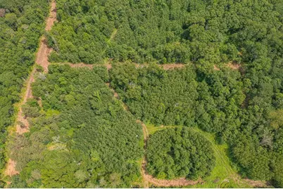 Tract B Polaris, Merrifield, MN 56465 - Photo 10