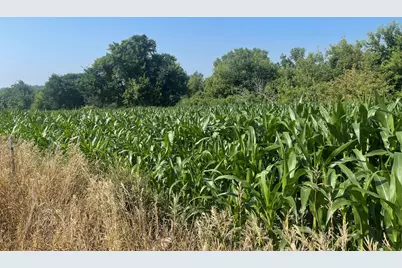 Xxx 590th, Bay City, WI 54723 - Photo 28