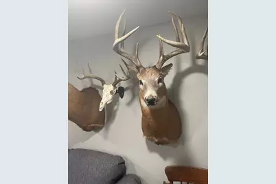 Xxx 590th, Bay City, WI 54723 - Photo 4