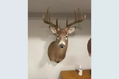Xxx 590th, Bay City, WI 54723 - Photo 12