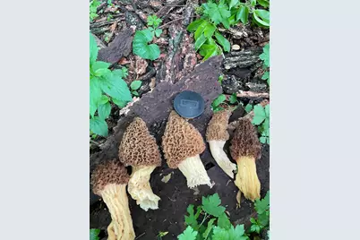 Xxx 590th, Bay City, WI 54723 - Photo 20