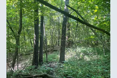 Xxx 590th, Bay City, WI 54723 - Photo 22